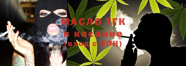 гашик Алексин