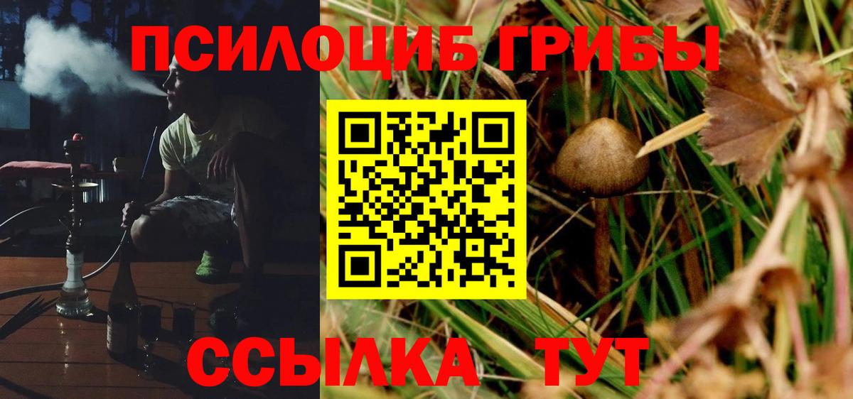 Псилоцибиновые грибы GOLDEN TEACHER Нефтеюганск