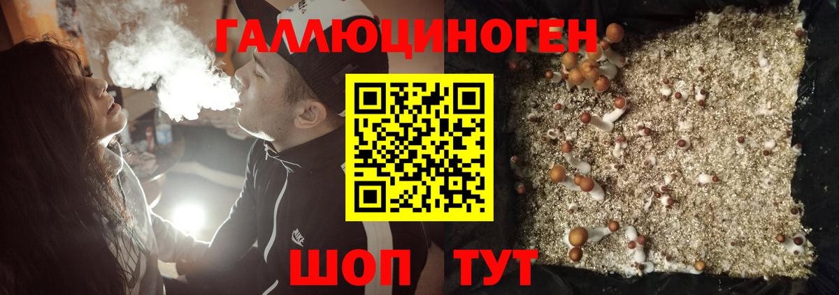 Нефтеюганск  Псилоцибиновые грибы Cubensis  Вход с VPN 